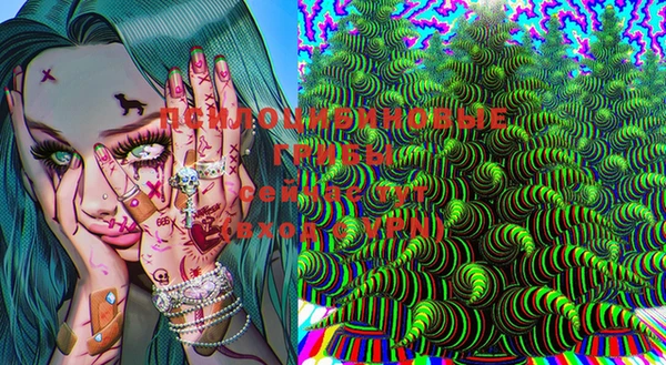 спайс Аркадак